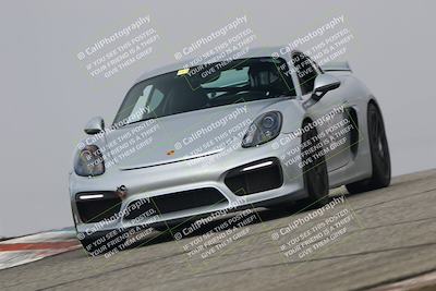 media/Nov-21-2025-Audi Club (Fri) [[8110d52e1e]]/Open Track Photos/3 Grapevine/